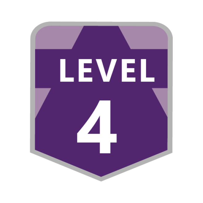 Level-4